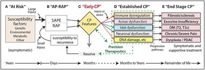 Central role of the sentinel acute pancreatitis event (SAPE) model in understanding recurrent acute pancreatitis (RAP): Implications for precision medicine